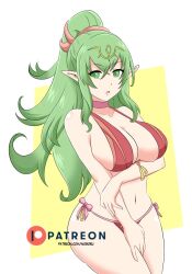 1girls 2022 bikini breasts female female_only fire_emblem fire_emblem_awakening green_eyes green_hair long_hair looking_at_viewer nintendo noboru_revista panties ponytail solo tiki_(adult)_(fire_emblem) tiki_(fire_emblem)