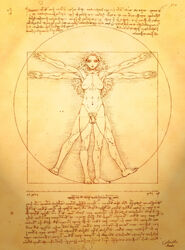 art cal. fine_art_parody futanari intersex public_domain vitruvian_man