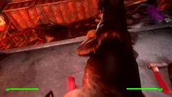 3d animal_genitalia animated big_penis bondage cum dogmeat dubious_consent fallout fallout_4 feral feral_on_male feral_penetrated forced from_behind geetee human human_on_feral human_on_male human_penetrating human_penetrating_feral knot light-skinned_male male male/male male_on_feral male_penetrating_feral mp4 penis quality sound tagme tied video zoophilia