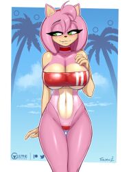 2d amy_rose anthro female fur furry green_eyes hedgehog mobian_(species) one_piece_swimsuit sega solo solo_female sonic_(series) sonic_the_hedgehog_(series) swimsuit tailsrulz