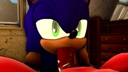 3d animated big_penis blowjob echidna furry furry_only gay hedgehog knuckles_the_echidna male mp4 no_sound sega sonic_(series) sonic_the_hedgehog sonic_the_hedgehog_(series) source_filmmaker video wector