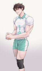 male male_only oikawa_tooru_(haikyuu!!) onglai87 solo_male tagme