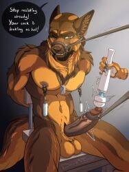 3:4 abs anthro bondage bondage bound canid canine canis chair chair_bondage darkthorns domestic_dog english_text forced furniture genitals german_shepherd glans_torture herding_dog hi_res humanoid_genitalia humanoid_penis male mammal muscular muzzle_(object) nipple_clamp nipple_fetish nipple_play nipple_weights pastoral_dog pecs penile penis resisting_orgasm sex_toy simple_background solo speech_bubble submissive submissive_male teasing text vibrator vibrator_on_penis wand_vibrator