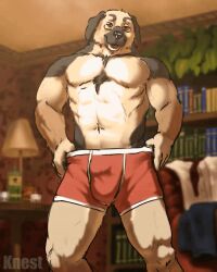 2022 abs animal_genitalia animated anthro balls book bookshelf bounce boxer_briefs briefs briefs_only bulge canid canine canis chest_tuft clothed clothing deltoids domestic_dog eyewear first_person_view fully_sheathed furniture genitals glasses inside knest liquor_bottle looking_at_viewer male mammal manly mature_male muscular muscular_arms muscular_legs navel obliques pecs plant presenting pubes red_briefs red_clothing red_underwear sheath short_playtime smile solo topless tuft underwear underwear_only undressing