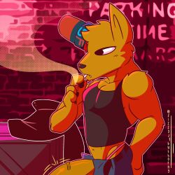 1:1 anthro big_penis canid canine clothed clothing digital_media_(artwork) drugs english_text erection fizzyjay fox genitals gregg_lee hi_res huge_cock male mammal marijuana night_in_the_woods penis smoke smoking solo text topwear video_games