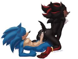 shadow the hedgehog from sega by paozinhochris