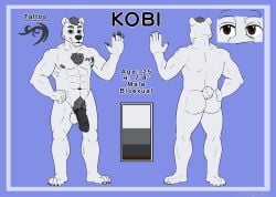 anthro bear brown_eyes claws erection fur hi_res kobi_(lewd_latte) lewd_latte male mammal model_sheet nipples nude polar_bear tattoo ursine white_body white_fur