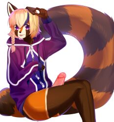 5_fingers ailurid anthro big_tail biped blep blonde_hair bottomless braided_hair brown_body brown_fur clothed clothing digital_media_(artwork) erection fingers fur genitals glans hair hi_res hoodie humanoid_genitalia humanoid_penis lokkun long_sleeves looking_at_viewer male male_only mammal markings orange_body orange_fur penis pink_penis pink_tongue portrait purple_clothing purple_hoodie purple_topwear red_panda shaded simple_background solo striped_markings striped_tail stripes tail tail_markings tealsick three-quarter_portrait tongue tongue_out topwear white_background