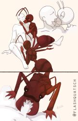 ant antennae_(anatomy) anthro anthro_penetrated antonio_(flashquatsch) arthropod comic duo fellatio flashquatsch french_kissing group group_sex human human_on_anthro human_penetrating human_penetrating_anthro hymenopteran insect insect_girl insects interspecies kissing light-skinned_male male male_on_anthro mammal mandibles oral oral_penetration penetration penile sex signature simple_background threesome trio white_background