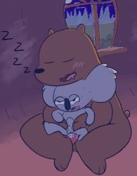 2023 anthro balls bear black_nose blush brown_bear brown_body cartoon_network closed_eyes commander_star detailed_background duo erection genitals grey_body grizzly_(wbb) grizzly_bear hi_res inside koala male male/male mammal marsupial night nom_nom_(wbb) penis penis_size_difference sex sleeping stomach_bulge ursine vombatiform we_bare_bears