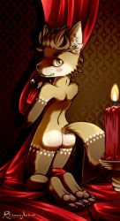 anthro ass candle canid canine fox furry kingsley_(riverglaive) male mammal riverglaive sole_male solo young