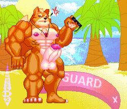 absurd_res animated annoyed anthro beach canid canine digital_media_(artwork) erection eyewear fox fox_mccloud genitals guard hi_res loop male male_focus mammal morinetsu muscular muscular_anthro nintendo palm_tree penis pillow_shading pixel_(artwork) pixel_animation plant sea seaside solo star_fox sunglasses tree water whistle