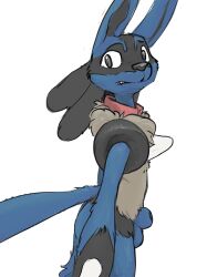 absurd_res animal_genitalia anthro balls collar generation_4_pokemon genitals hi_res looking_at_viewer lucario male male_only mindkog nintendo nude pokémon_(species) pokemon pokemon_(species) sheath simple_background solo standing white_background