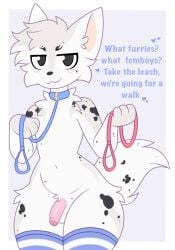 2026 anthro balls bdsm black_body black_eyebrows black_eyes black_fur black_markings black_nose black_spots blue_clothing blue_collar blue_leash blue_legwear blue_text blush blush_lines border cat_smile cheek_tuft closed_smile clothing collar domestic_cat english_text eyebrows facial_tuft felid feline felis femboy fur genitals hair heart_symbol hi_res holding_leash holding_object humanoid_genitalia humanoid_penis leash leashed_collar legwear looking_at_viewer male mammal markings mouth_closed narrowed_eyes navel neck_tuft ohalphabetboyy pattern_clothing pattern_legwear pattern_thigh_highs penis petplay pink_leash pink_penis question roleplay simple_background smile smug smug_face smug_grin solo spots spotted_markings standing striped_clothing striped_legwear striped_thigh_highs stripes tail text thigh_highs tuft white_body white_border white_fur
