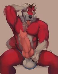 animal_genitalia animal_penis anthro balls big_penis canine canine_penis erection fur furry gausswolf hand_on_penis huffpup huge_cock knot male male_only mammal muscular muscular_male nude open_mouth penis sheath sitting solo thick_thighs tongue tongue_out