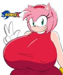 1female 1females 1girl 1girls amy_rose anthro female female_only furry girl girl_only momiji_(artist) solo solo_female solo_girl sonic_(series) sonic_x tagme