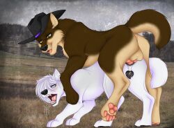 alpha_(disambiguation) anal anthro anus canid canine canis clothing cowboy duo female feral hat headgear headwear hi_res knot lilly_(disambiguation) lily_(disambiguation) luckywolff lupis male male/female mammal thehuntingwolf western wolf