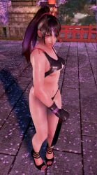 alluring black_and_red_and_purple_hair cute fingerless_gloves kitsune_marks kunimitsu_ii lavender_eyes mod namco panties ponytail tank_top tekken underboob