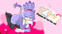 blaze the cat from sonic (series) by champchidi