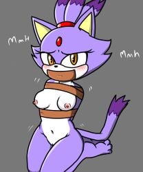 arms_behind arms_behind_back arms_bound arms_tied_behind_back blaze_the_cat blush bondage bound bound_arms cat_ears cat_tail female female_only furry furry_only gag gagged purple purple_body purple_fur purple_skin solo sonic_(series) sonic_the_hedgehog_(series) sparknsfw2020 tail tape tape_bondage tape_gag taped_arms taped_mouth tied tied_arms tied_up