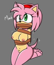 1girls amy_rose arms_behind arms_behind_back arms_tied arms_tied_behind_back bondage bound bound_arms eulipotyphlan female female_only furry furry_only hedgehog mammalx naked pink pink_body pink_fur sonic_(series) sonic_the_hedgehog_(series) sparknsfw2020 tape tape_bondage tape_gag taped_arms taped_mouth tied tied_arms tied_up