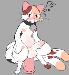 2_tails 3_fingers 3_toes absurd_res anal anal_sex arms_on_thighs asian_mythology ball_markings balls balls_blush bell bell_collar big_dildo blush blushing_profusely bodily_fluids body_blush calico_cat catmakinbiscuits cheek_tuft chip_(catmakinbiscuits) collar collar_only dildo dildo_in_ass dildo_insertion dildo_sitting domestic_cat east_asian_mythology erection exclamation_point eyebrows facial_tuft feet felid feline felis feral feral_only fingers foreskin fur furry furry_only genital_markings genitals hi_res male mammal markings mottled multi_tail mythology nude object_in_ass penetration penis piebald sex_toy sex_toy_in_ass sex_toy_insertion solo stomach_bulge tail toes tuft