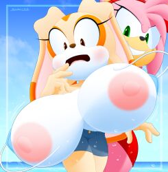 2girls amy_rose anthro big_areola big_breasts big_nipples blush breasts cream_the_rabbit eulipotyphlan female female_only furry hedgehog huge_breasts lagomorph leporid mammal nipples rabbit sega slickehedge sonic_(series) sonic_the_hedgehog_(series)