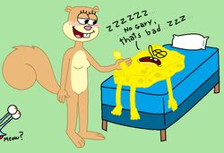 gary_the_snail sandy_cheeks sea_sponge smooth_skin snail spongebob_squarepants spongebob_squarepants_(character) squirrel tagme