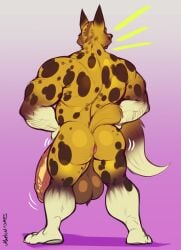 african_wild_dog animal_crossing anthro ass back_view backsack balls bara barazoku big_balls big_pecs big_penis canid canine canis furry kyle_(animal_crossing) male male_only marlon.cores muscles muscular nintendo nude penis solo solo_male spotted_fur