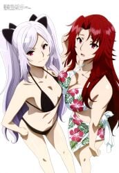 2girls absurdres alexia_midgar bikini black_bikini breast_press breasts cleavage female female_only first_porn_of_character floral_print hand_on_hip highres iris_midgar kage_no_jitsuryokusha_ni_naritakute! long_hair looking_at_viewer looking_up magazine_scan megami_magazine multiple_girls navel noda_yasuyuki official_art open_mouth purple_hair red_hair sarong scan siblings simple_background sisters small_breasts smile swimsuit the_eminence_in_shadow thighs white_background