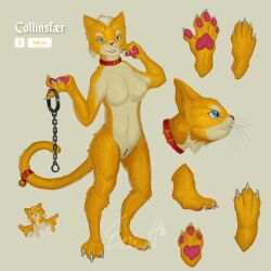 accessory anthro belly blue_eyes breasts claws collar collinsfraer ericherilan felid feline female fur furgonomics genitals hair hi_res mammal model_sheet nude pawpads pussy simple_background solo tail tail_accessory tailband white_belly white_hair yellow_body yellow_fur