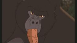 animated disney fellatio gay gif kerchak male male_only multiple_boys multiple_males oral tarzan_(1999_film) yaoi zoophilia