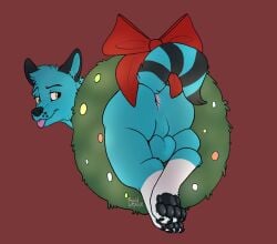 anthro anus ass backsack balls blep boldbeaux bow_ribbon canid canine christmas_wreath fox genitals male mammal markings pawpads paws perineum socksthefox_(character) solo striped_markings striped_tail stripes stuck tail tail_markings tongue tongue_out