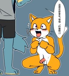 canid canine canis chinese_text crouching domestic_cat duo felid feline felis hi_res in_heat male male/male mammal saku1saya scratch_(application) scratch_cat seiya_(saku1saya) text translated wolf young