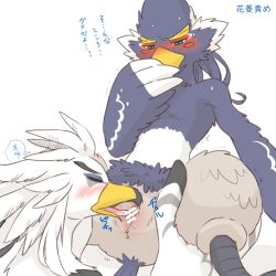 animal_genitalia anthro athletic athletic_anthro athletic_male beak blue_body blue_feathers blush breath_of_the_wild cloaca cloacal cloacalingus duo embarrassed feathers genitals japanese_text kusachi male male/male nintendo nude oral revali sex talons teba_(tloz) text the_legend_of_zelda white_body white_feathers yellow_beak