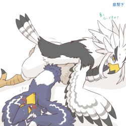 anthro athletic athletic_anthro athletic_male avian beak blue_body blue_feathers blush breath_of_the_wild duo embarrassed feathers kusachi looking_pleasured male male/male nintendo nude revali rito sex talons teba_(tloz) text the_legend_of_zelda white_body white_feathers yellow_beak