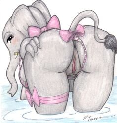 anthro anus ass bent_over bikini bikini_aside bikini_bottom_aside blush bow_ribbon breasts butt_focus clothing clothing_aside elephant elephantid english_text eyelashes female genitals grey_body grey_skin hi_res looking_at_viewer looking_back looking_back_at_viewer mammal nude partially_submerged paul_lucas presenting proboscidean pussy solo swimwear swimwear_aside tail tail_tuft text traditional_media_(artwork) trunk tuft tusks