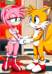 amy rose from sega by bbmbbf