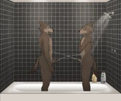 absurd_res anthro bodily_fluids brown_body brown_fur canid canine canis domestic_dog duo echto father father_and_child father_and_son fur genital_fluids genitals hi_res male male/male mammal parent parent_and_child peeing peeing_on_another penis pissing_contest shower son tongue tongue_out urine