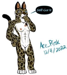 abs anthro athletic breasts clouded_leopard dreamworks felid feline female genitals hi_res kung_fu_panda mammal markings pantherine pussy solo spots spotted_markings su_wu tattoo wu_sisters