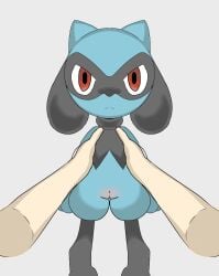 anthro blue_body blue_fur blush body_blush carrying female fur generation_4_pokemon genitals hi_res honeyu looking_at_viewer nintendo pokémon_(species) pokemon pokemon_(species) pussy pussy_blush red_eyes riolu simple_background tagme young