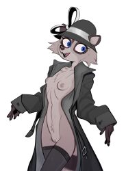 anthro blue_eyes breasts cheek_tuft chest_tuft clothed clothing coat cute_fangs facial_tuft female fur grey_body grey_fur hat headgear headwear hi_res legwear lenyavok mammal nipples open_clothing open_coat open_topwear partially_clothed procyonid raccoon simple_background slim small_breasts small_waist solo standing stockings topless topwear trenchcoat tuft white_background