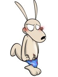 anthro balls blush erection genitals hi_res illegaleel macropod male mammal marsupial mostly_nude nickelodeon penis rocko's_modern_life rocko_rama shy small_penis solo solo_male wallaby