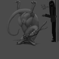 alien ass duo eyewear female flexible genitals glasses hair hi_res human humanoid long_hair long_neck long_tail male mammal meandraco monochrome presenting presenting_hindquarters presenting_pussy pussy solo_focus tail thick_neck