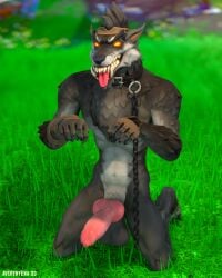 2022 3d_(artwork) 5:4 animal_genitalia animal_penis averyhyena balls big_balls big_penis canid canine canine_genitalia canine_penis canis chain_leash chains collar collar_only digital_media_(artwork) dire_(fortnite) epic_games erection exhibitionism fortnite fur genitals glowing glowing_eyes hi_res hindpaw kneeling knot leash looking_at_viewer male male_only mammal nude outside paws penis petplay public public_nudity puppyplay roleplay solo source_filmmaker tongue tongue_out were werecanid werecanine werewolf wolf