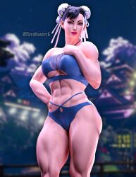 chun-li from capcom by nerohunter6