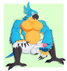 absurd_res anthro avian balls beak big_penis bird bodily_fluids breath_of_the_wild feathers genital_fluids genitals hi_res humanoid_genitalia humanoid_penis isaacyote_(artist) kass_(tloz) kass_(zelda) male male_only musclegut muscular muscular_anthro nintendo nude penis precum rito solo the_legend_of_zelda vein veiny_penis