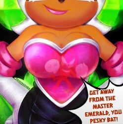 artist_request bat big_boobs big_breasts big_tits knuckles_the_echidna reflection reflective_clothing rouge_the_bat sonic_(series) sonic_the_hedgehog_(series) tagme