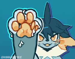 original character from pokemon by kibblebytez