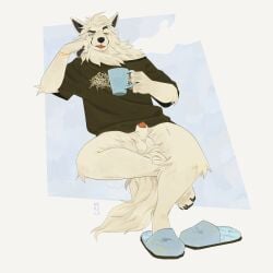 2025 animal_genitalia anthro balls bottomless bottomless_anthro bottomless_male bracelet canid canine clothed clothing container cup footwear fox fur genitals hi_res holding_container holding_cup holding_mug holding_object jewelry male male_anthro mammal mug pawpads penis penis_tip red_penis remulle_(artist) sennec_(character) sheath shoes simple_background sitting slippers solo tail white_body white_fur yellow_eyes